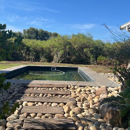 Tenikwa Wildlife Centre & Spa بليتنبيرغ باي المظهر الخارجي الصورة