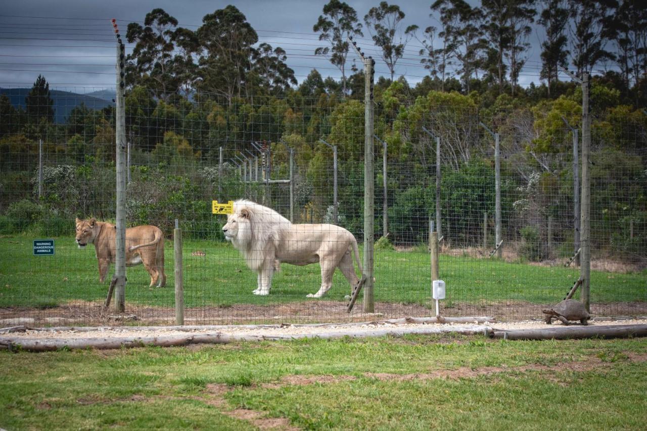 Tenikwa Wildlife Centre & Spa بليتنبيرغ باي المظهر الخارجي الصورة