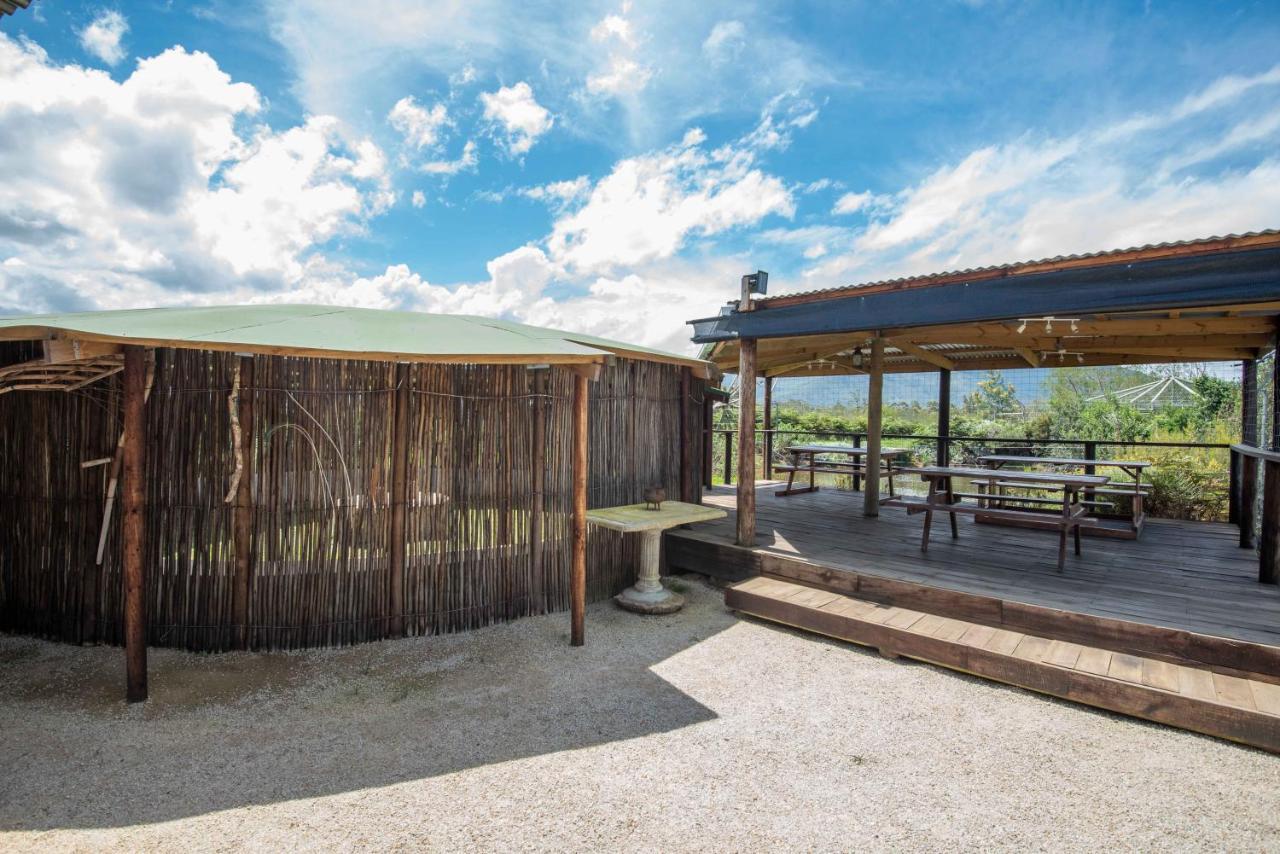 Tenikwa Wildlife Centre & Spa بليتنبيرغ باي المظهر الخارجي الصورة