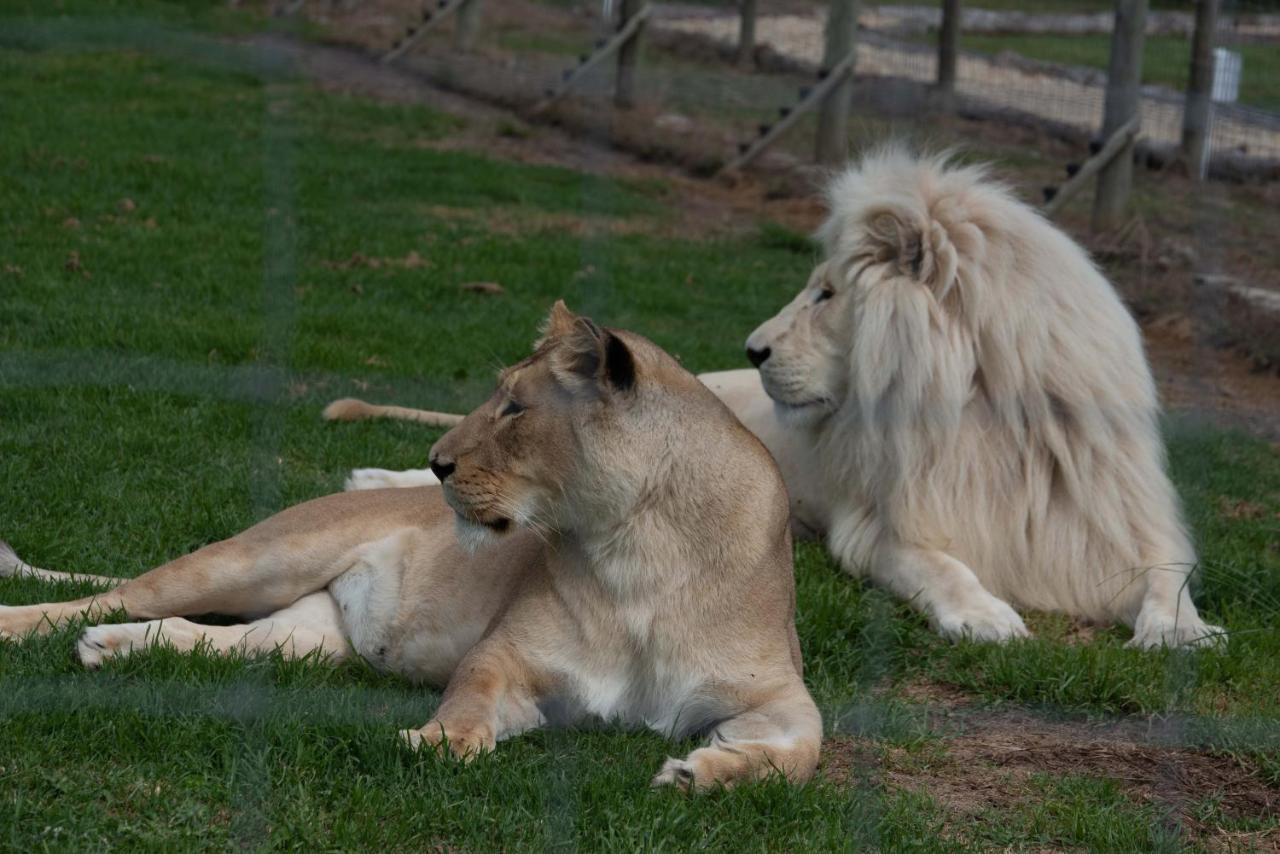 Tenikwa Wildlife Centre & Spa بليتنبيرغ باي المظهر الخارجي الصورة